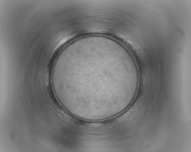 X0000114501306200911161225