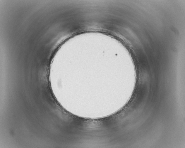 X0000114501314200911161225