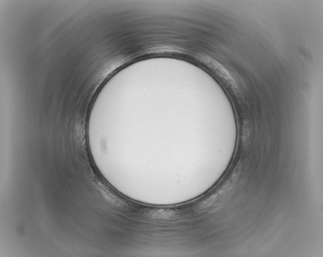 X0000114501321200911161226