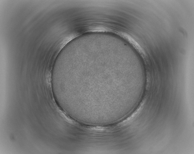 X0000114501329200911161226