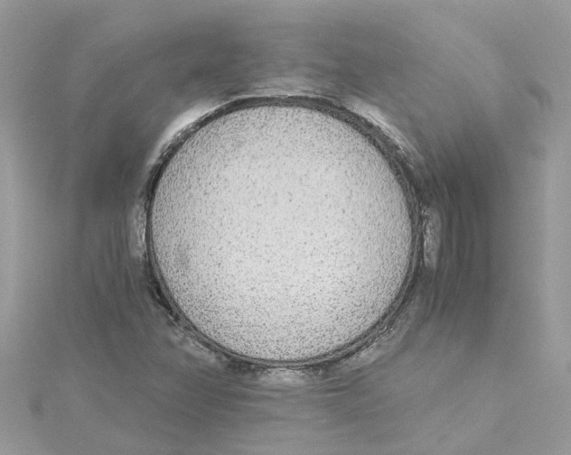 X0000114501358200911161225