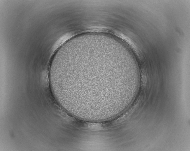 X0000114501362200911161225