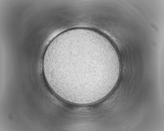 X0000114501367200911161225