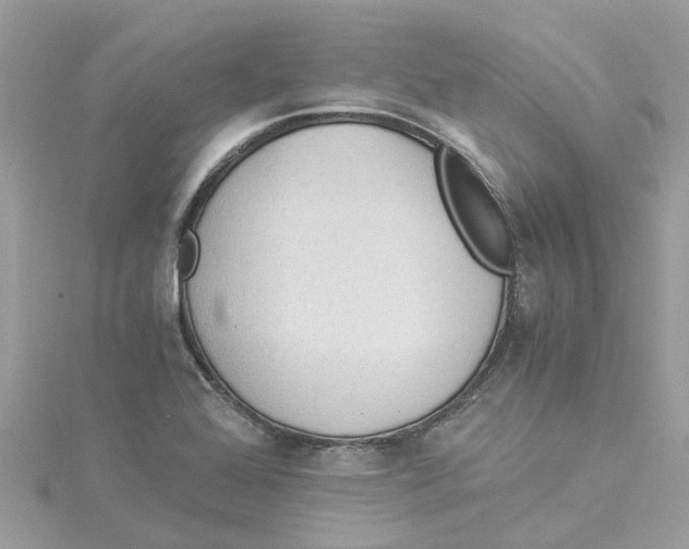 X0000114501368200911161225