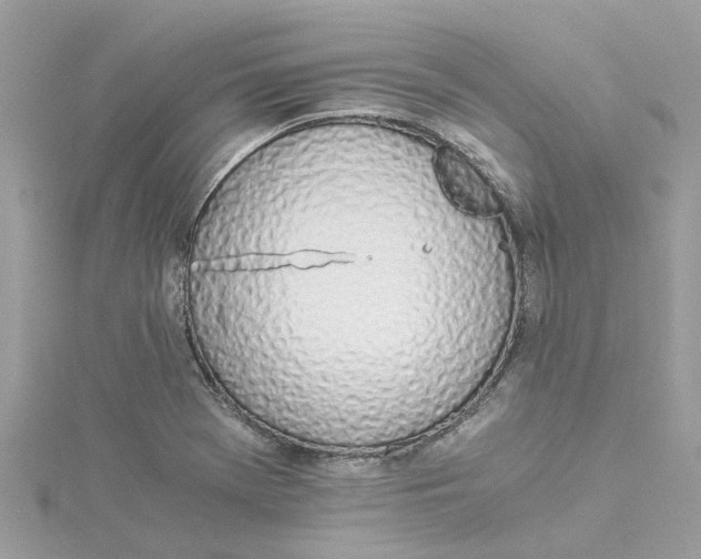 X0000114501369200911161225