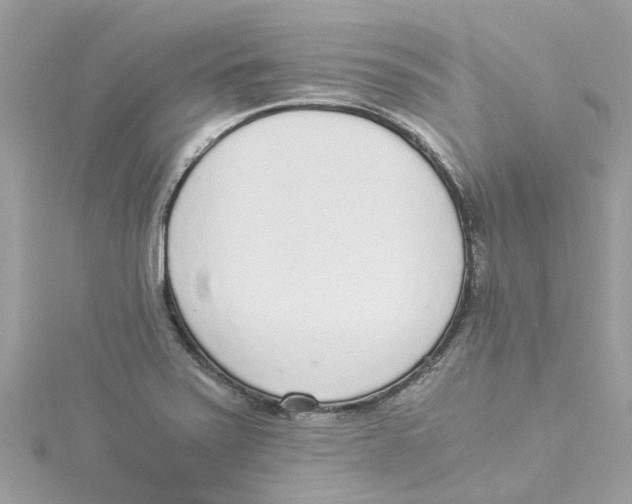 X0000114501371200911161225