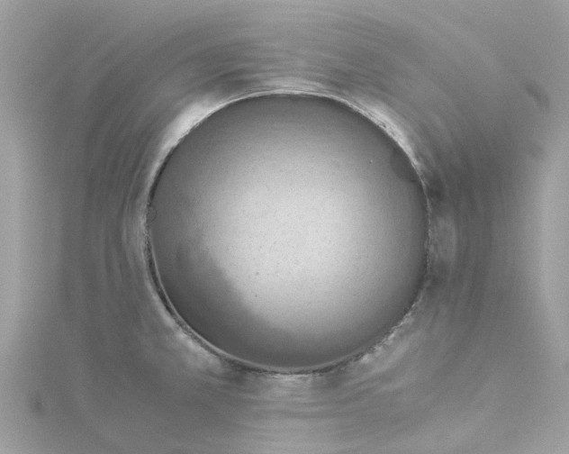 X0000114501381200911161225