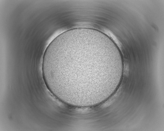 X0000114501386200911161225