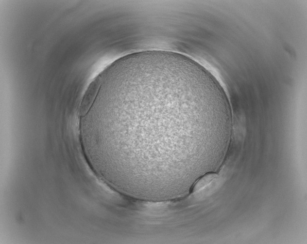 X0000114501389200911161225