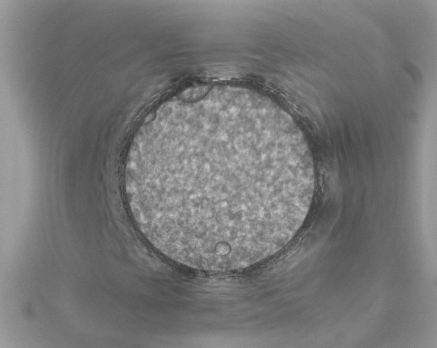 X0000114501393200911161224