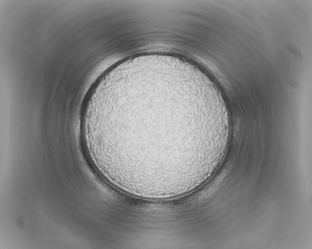 X0000114501418200911161224