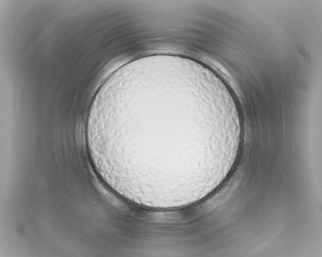 X0000114501433200911161225