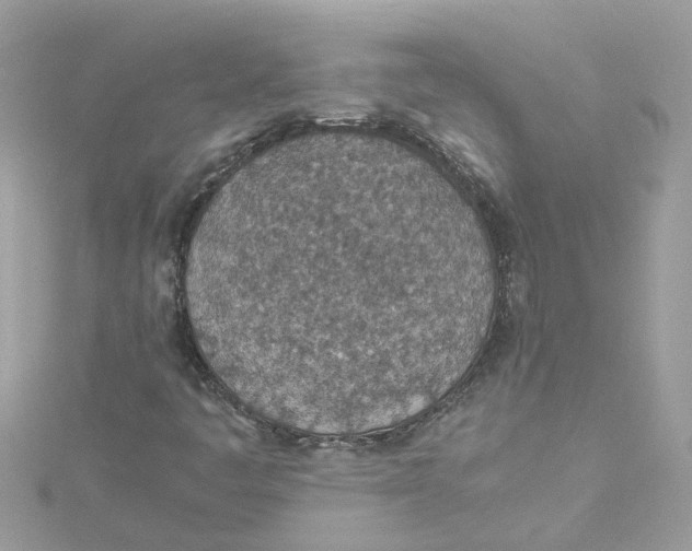 X0000114501445200911161224