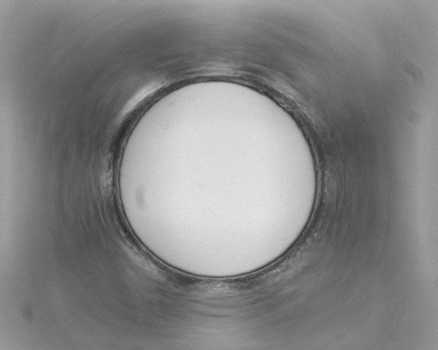 X0000114501450200911161224