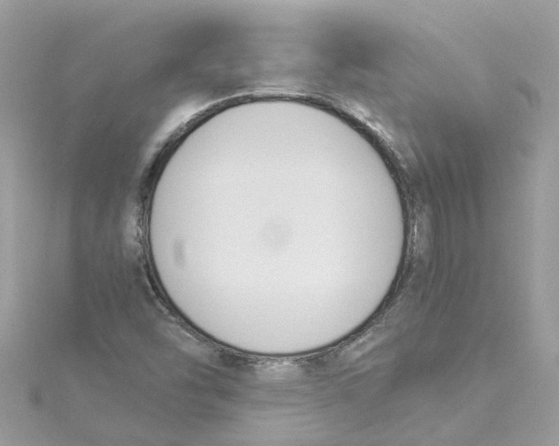 X0000114501454200911161224