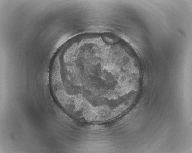 X0000114501459200911161224