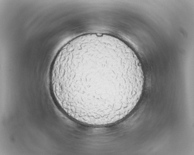 X0000114501471200911161223