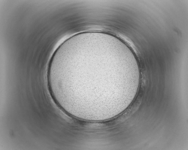 X0000114501475200911161223