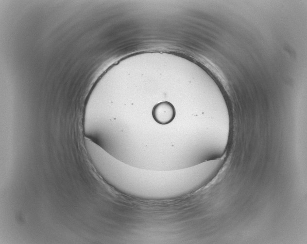 X0000114501481200911161223