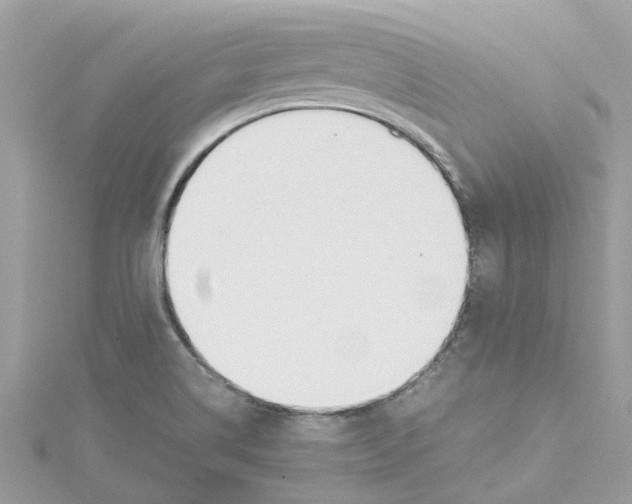 X0000114501514200911161223