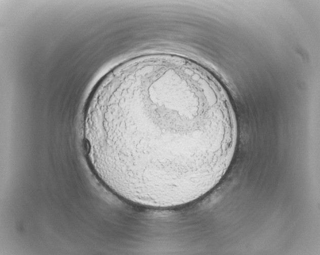 X0000114501522200911161223