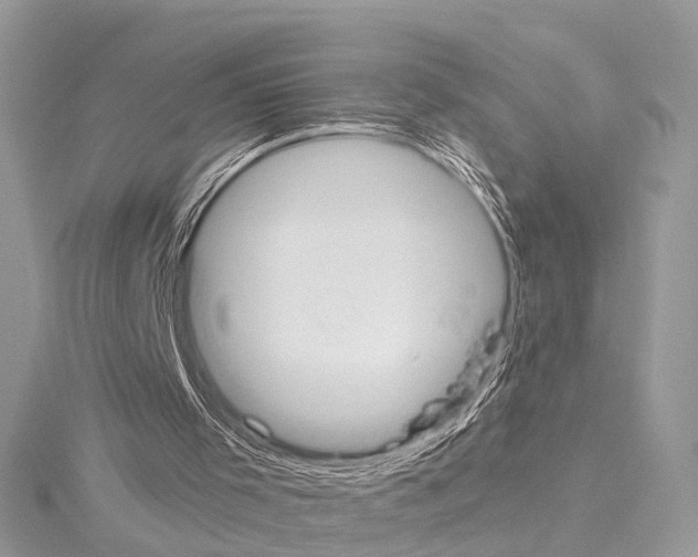 X0000114500001200911301136
