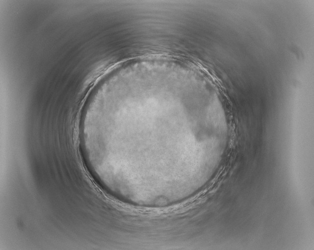 X0000114500002200911301136