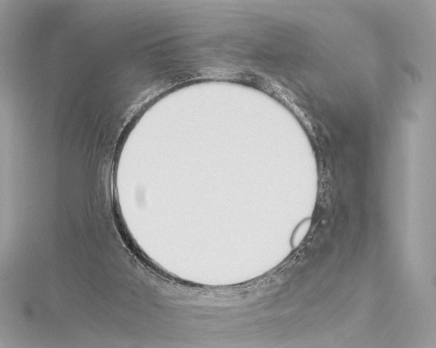 X0000114500011200911301136