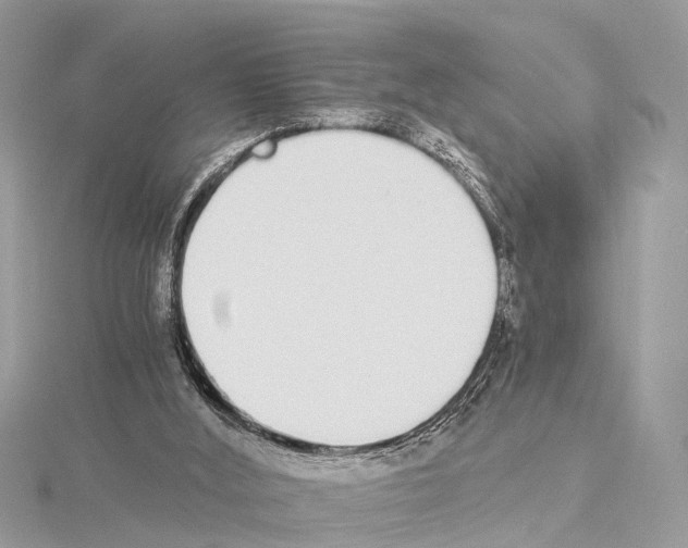 X0000114500012200911301136