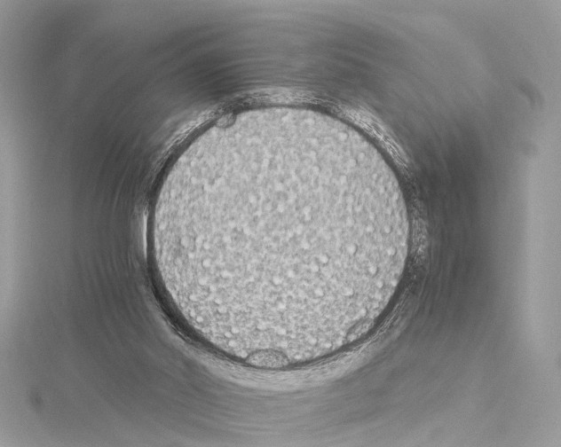 X0000114500014200911301136