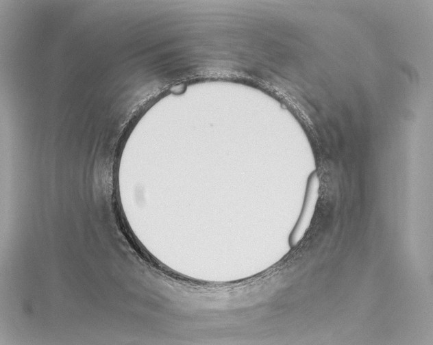 X0000114500015200911301136