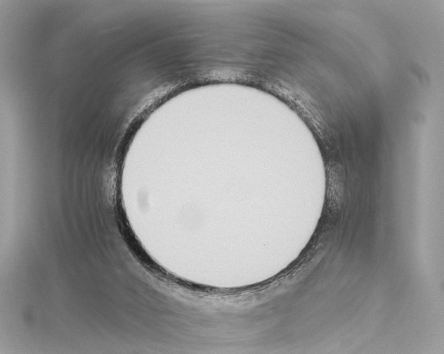 X0000114500016200911301136