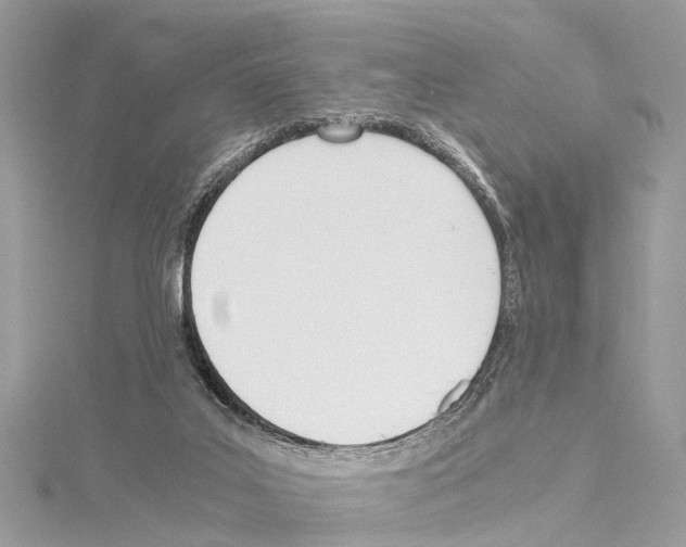 X0000114500019200911301136