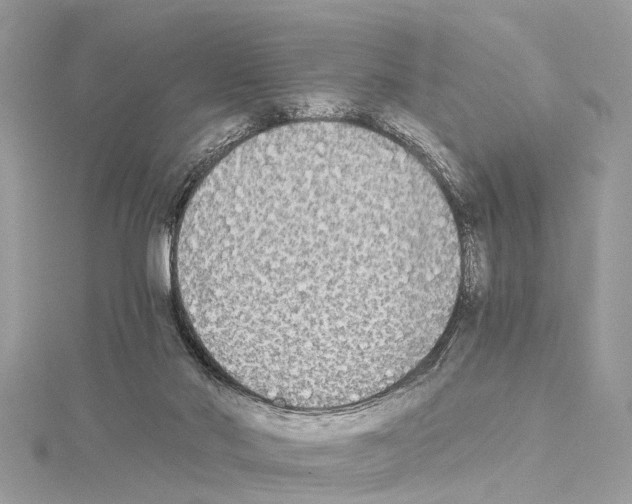 X0000114500022200911301136