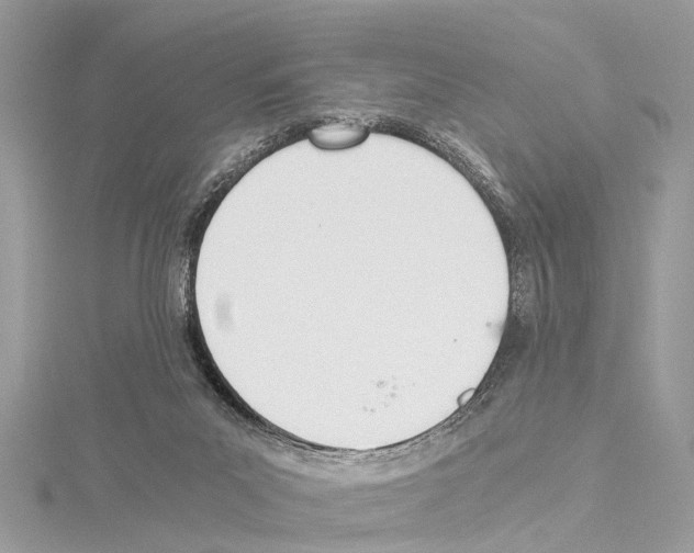 X0000114500023200911301136