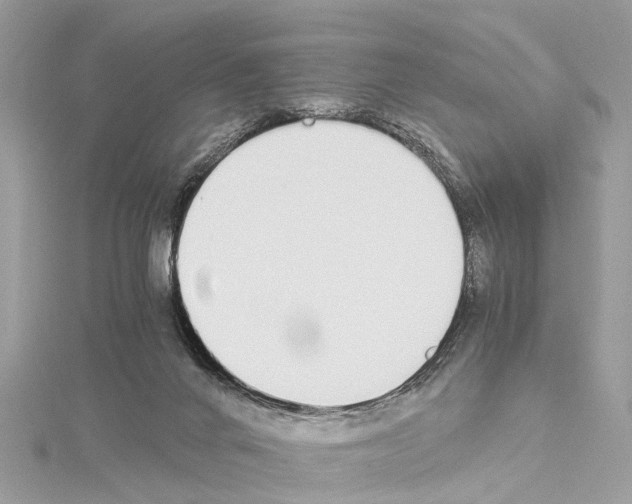X0000114500024200911301136