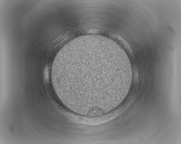 X0000114500026200911301136