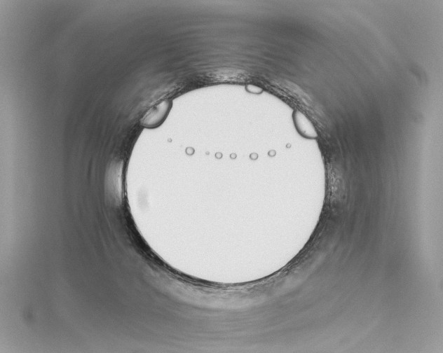 X0000114500028200911301136
