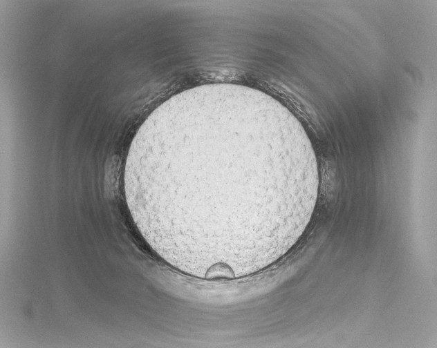 X0000114500030200911301136