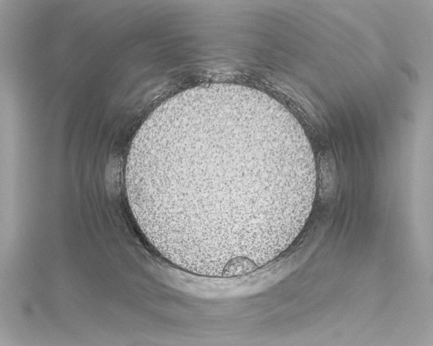 X0000114500034200911301136