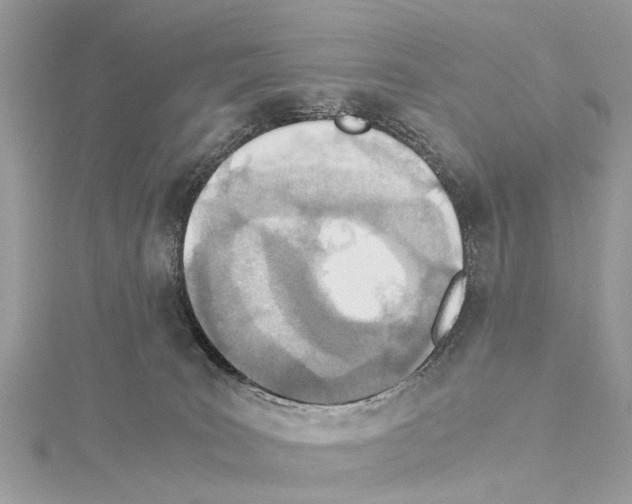 X0000114500035200911301136