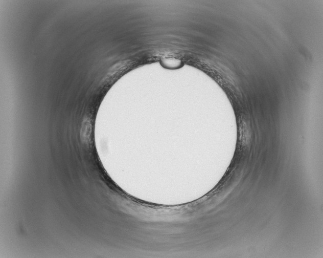 X0000114500036200911301136