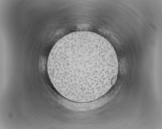 X0000114500038200911301136