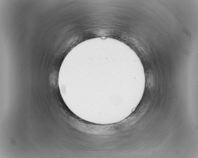 X0000114500044200911301136