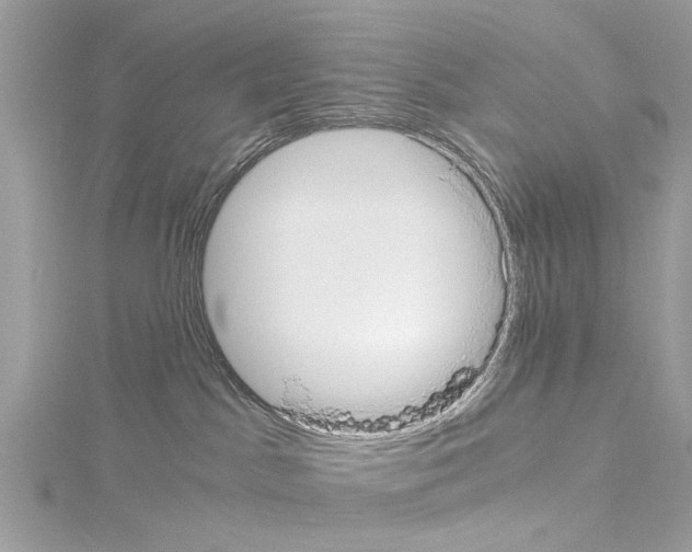 X0000114500045200911301136