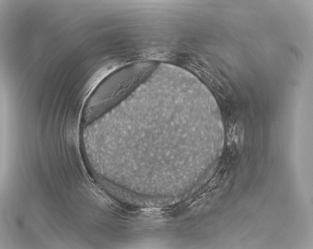 X0000114500052200911301135