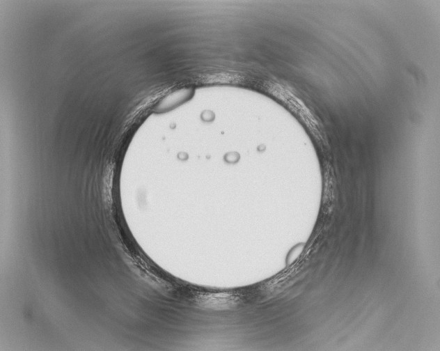 X0000114500058200911301135