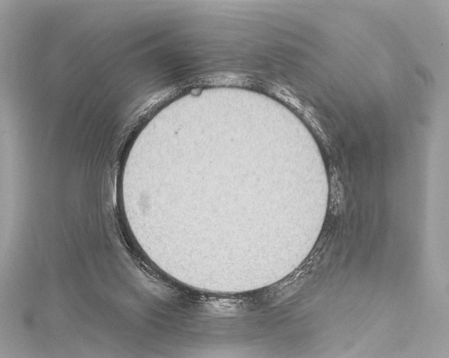 X0000114500062200911301135