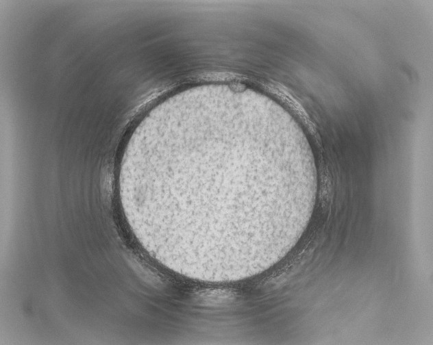 X0000114500063200911301135