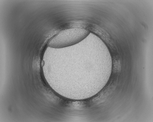 X0000114500064200911301135